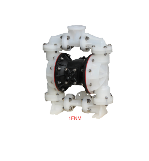 1'' (S1F) non-metallic pump